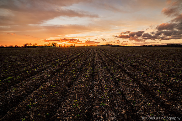DSC_6077-HDR