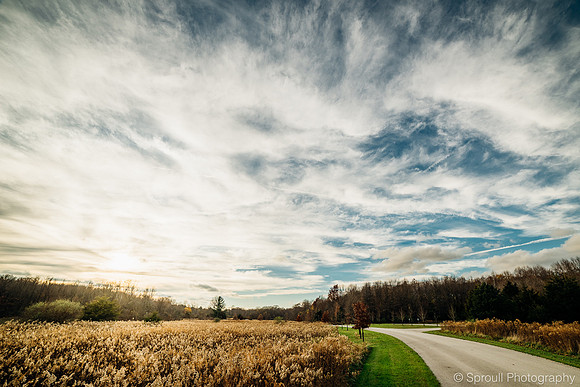 DSC_5971-HDR