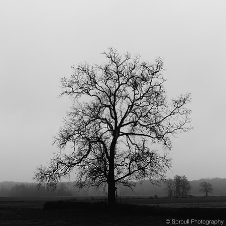 DSC_7025