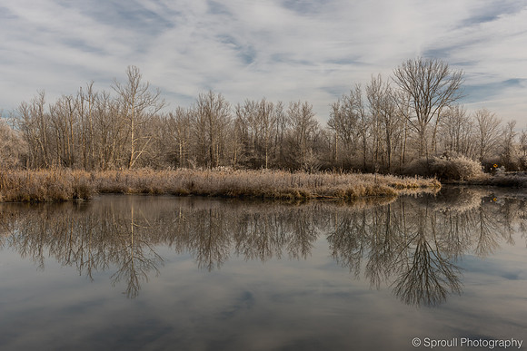 DSC_7582-HDR