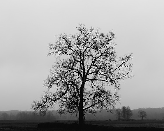 landscapes-21
